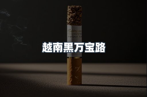 越南黑万宝路